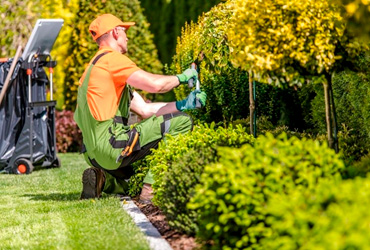 Garden Maintenance